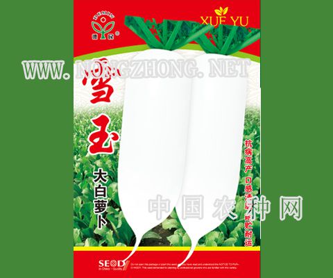 雪玉大萝卜
